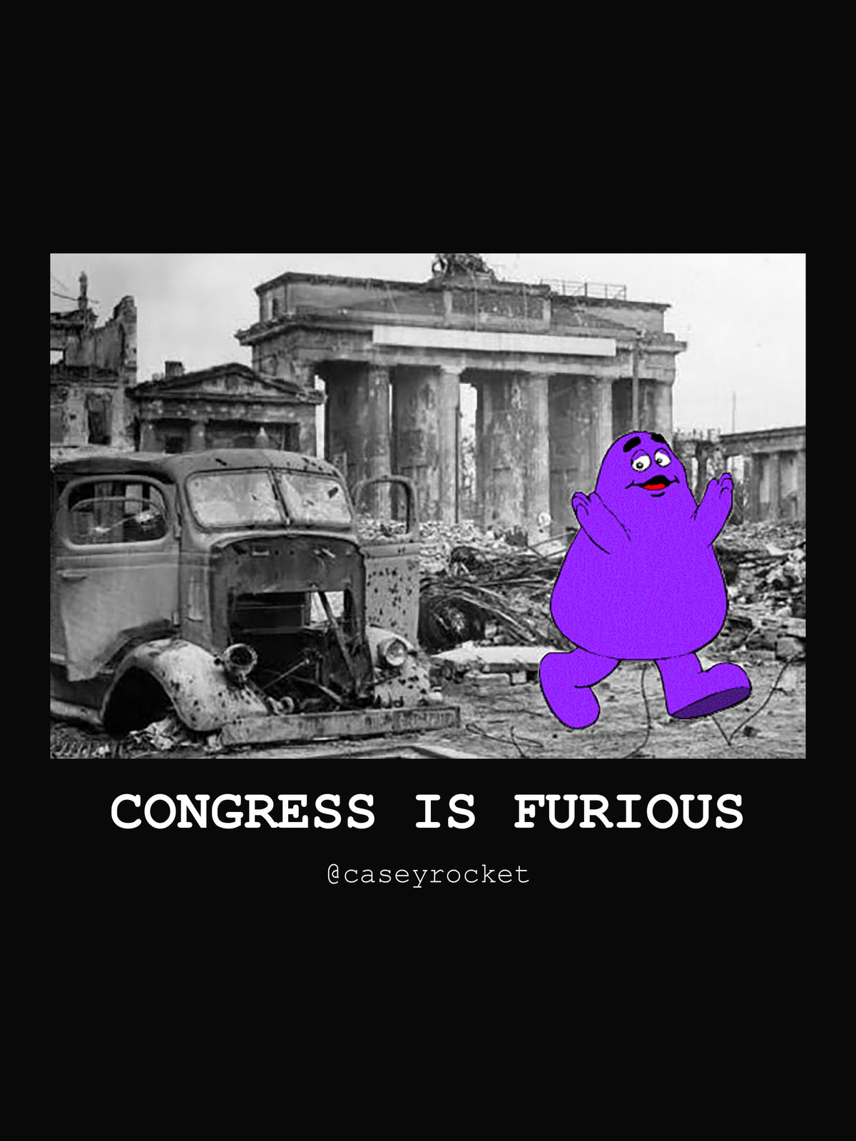 Congress is Furious by Casey Rocket