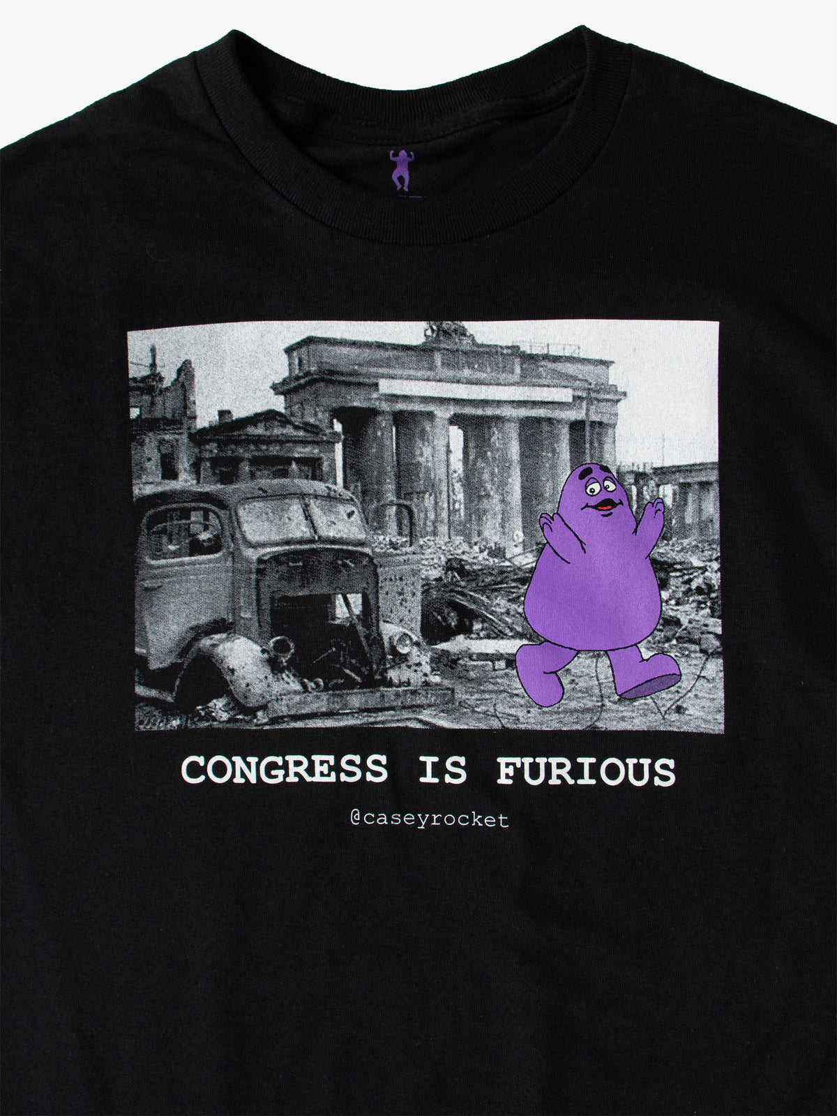 Congress is Furious by Casey Rocket