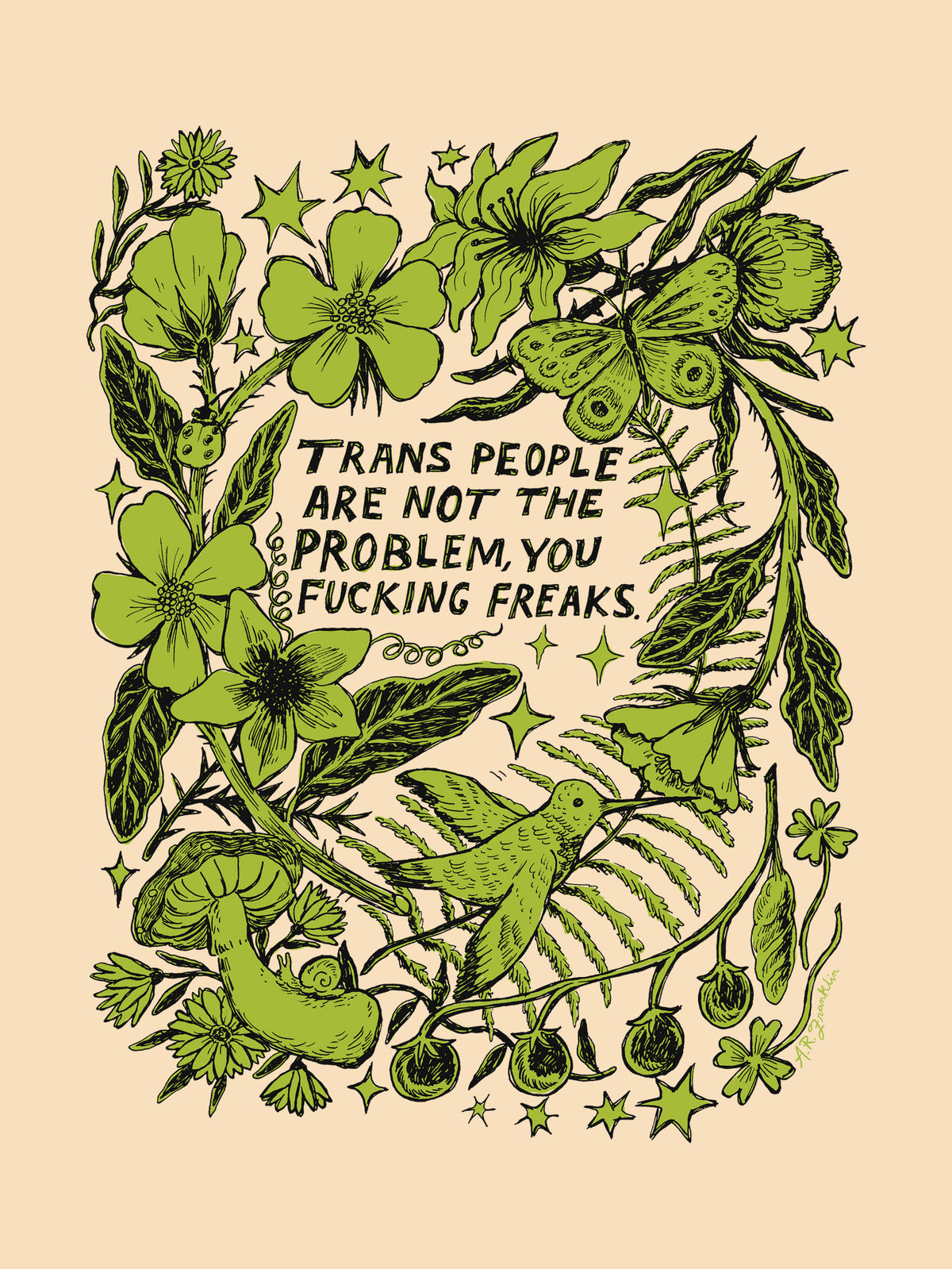 Trans Ppl are not the problem by Ashley Robin Franklin