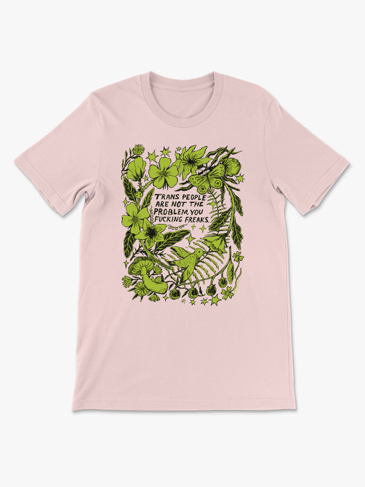 Trans Ppl are not the problem by Ashley Robin Franklin