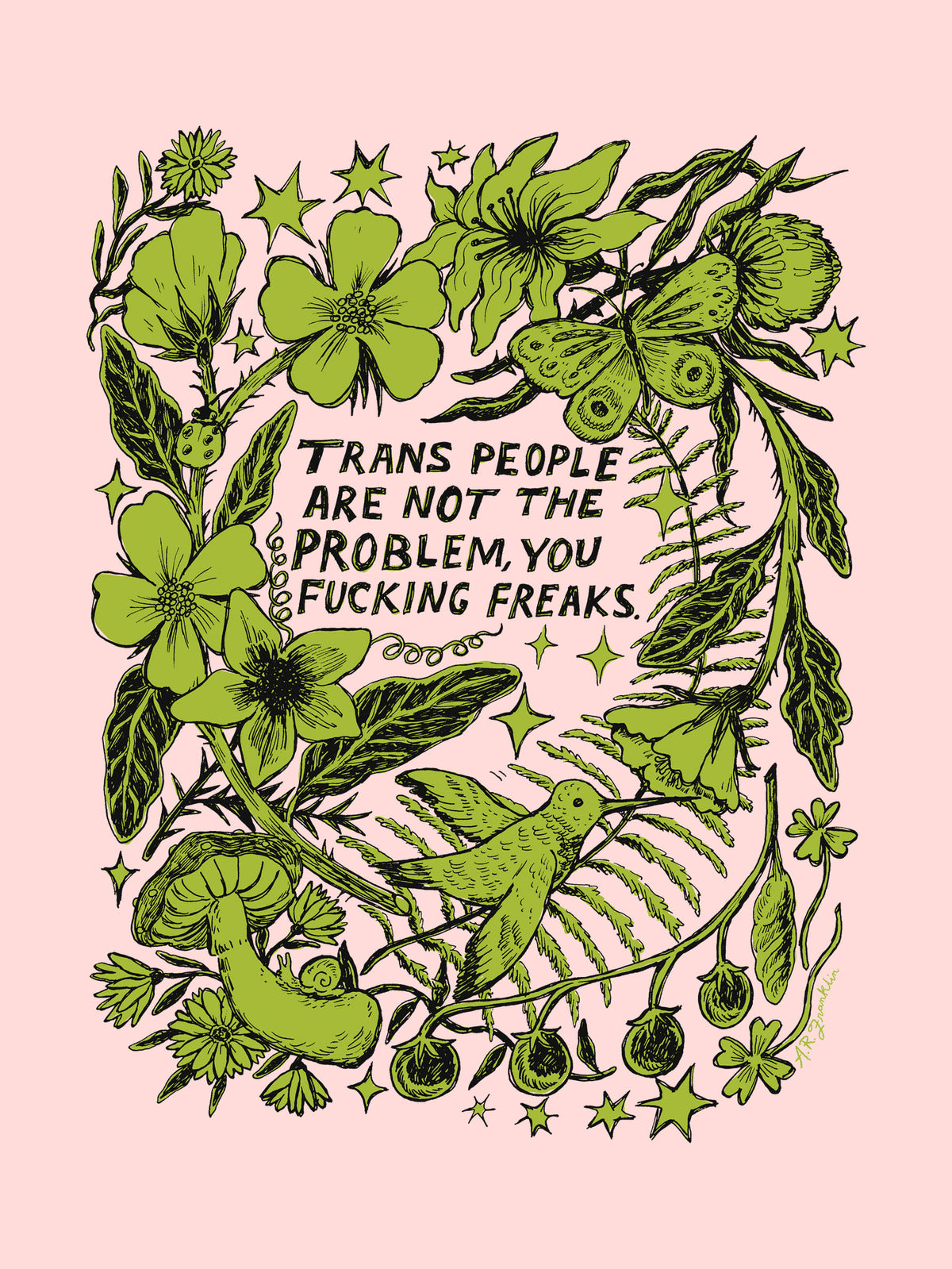 Trans Ppl are not the problem by Ashley Robin Franklin