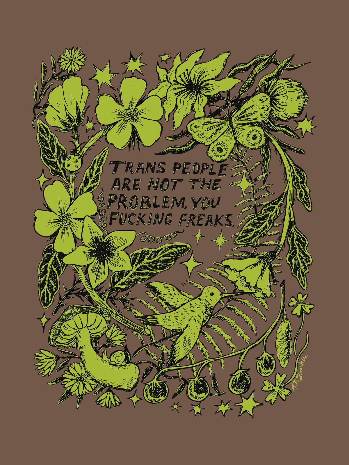 Trans Ppl are not the problem by Ashley Robin Franklin