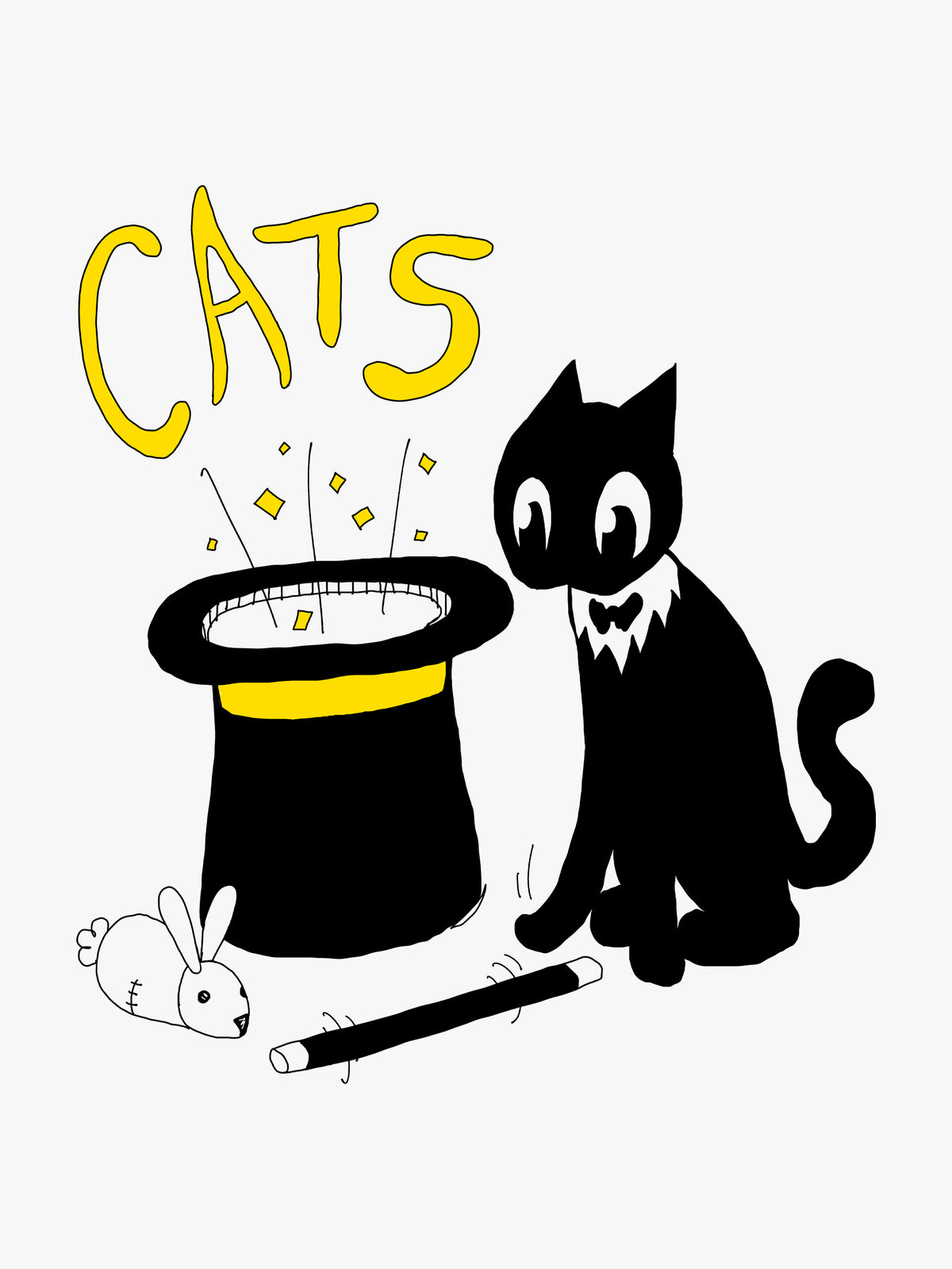 The Magician's Cat-Prentice by B. D. Greer