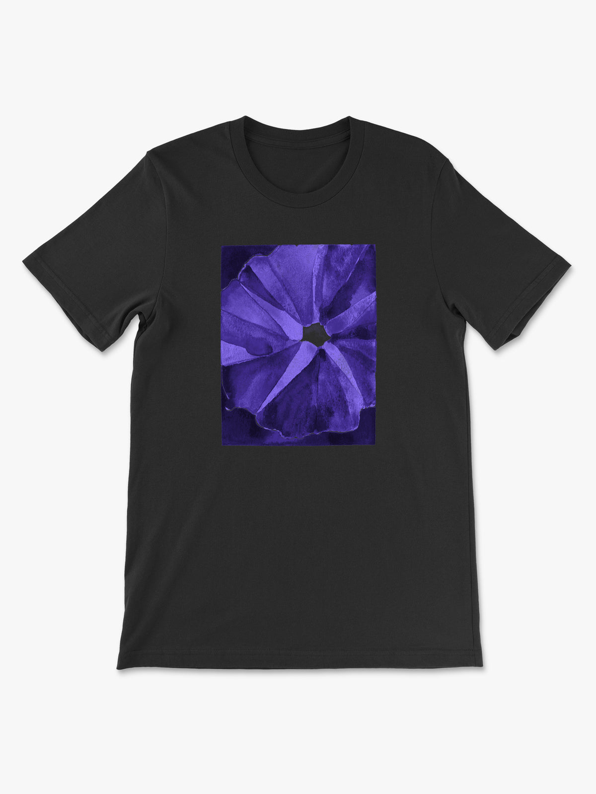 West Texas Morning Glory by Kerry Hugins