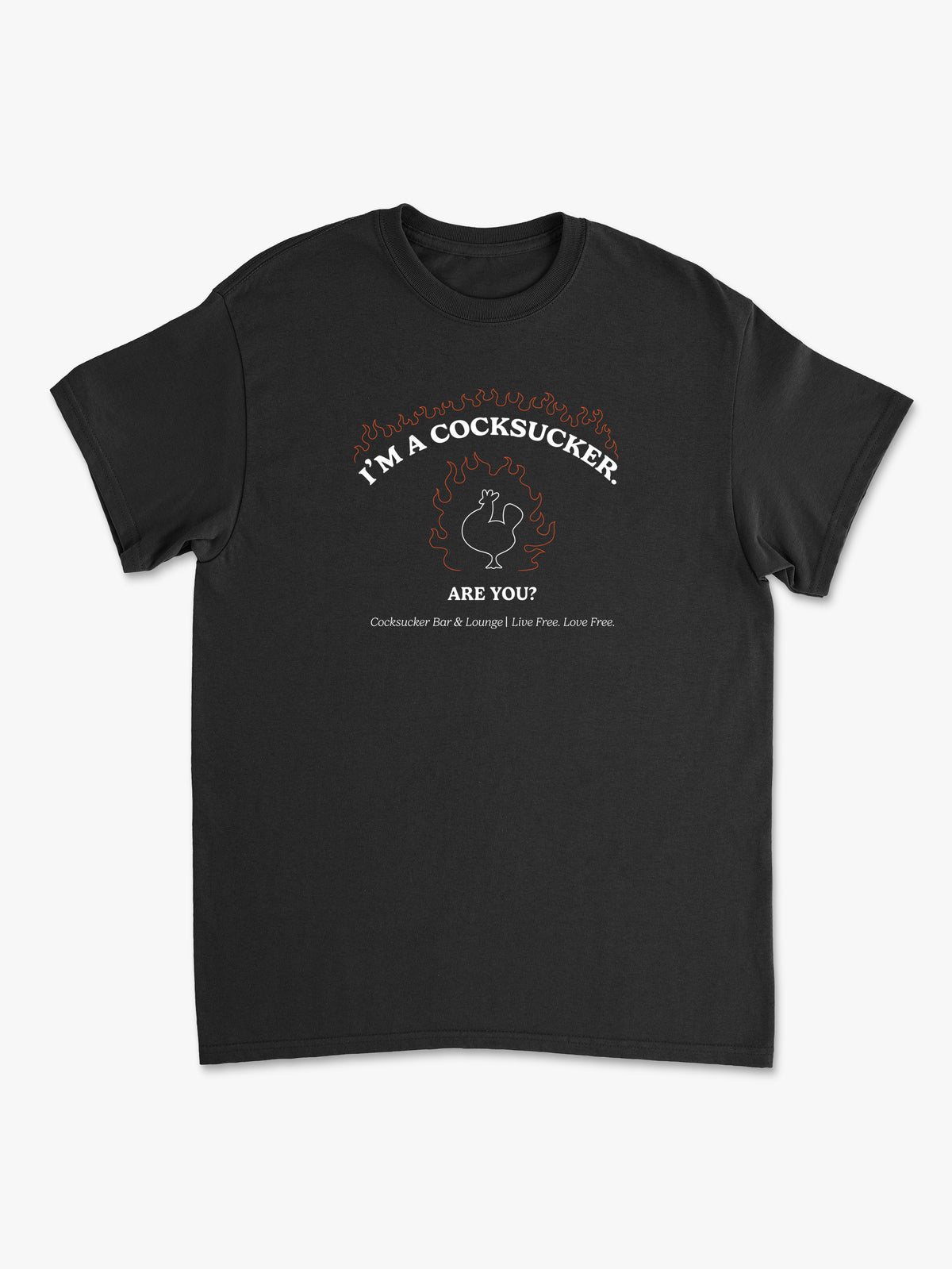But I'm A Cheerleader COCKSUCKER T Shirt by Lewis Lab
