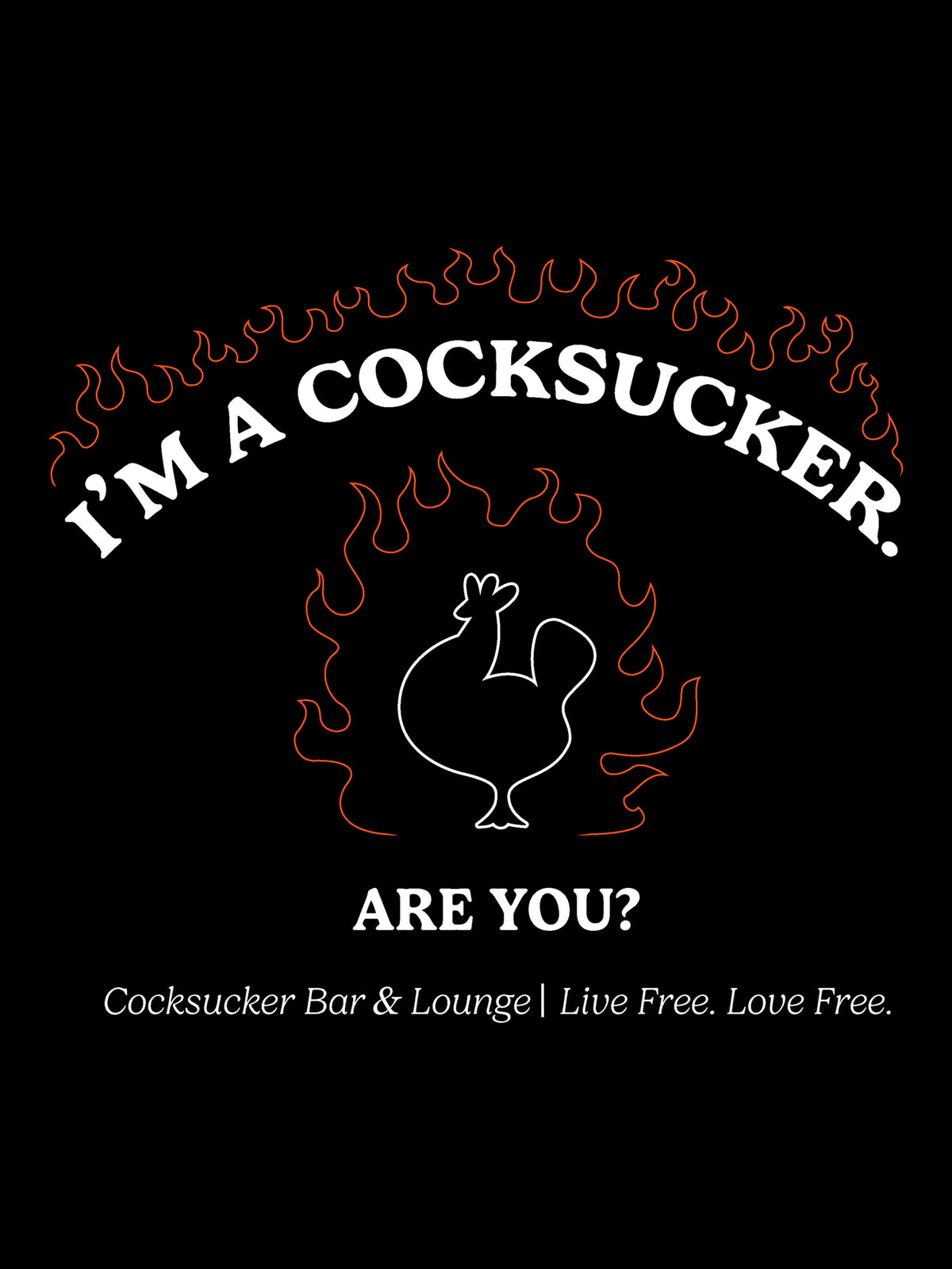But I'm A Cheerleader COCKSUCKER T Shirt by Lewis Lab