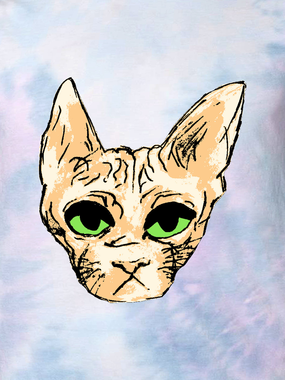hairless cat by slimewhere